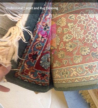 Professional Rug Cleaning in Oakton